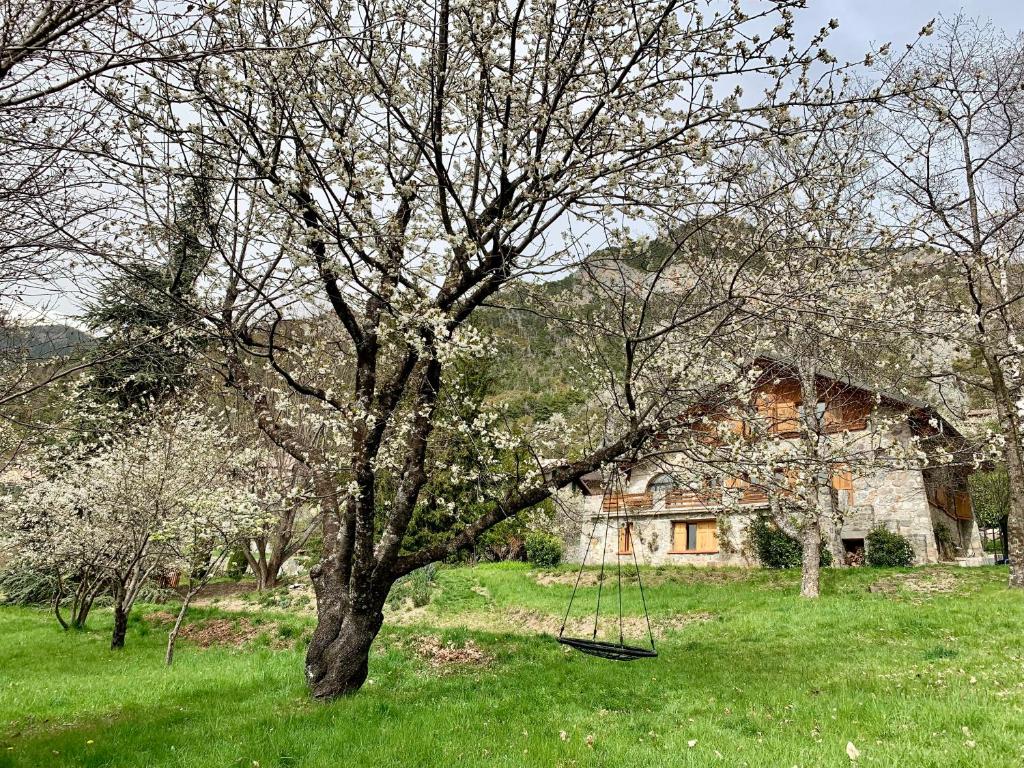 Chalet Le Tilleul - 5