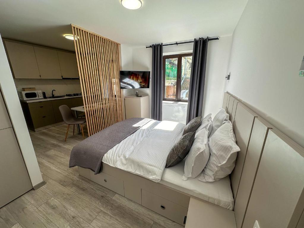 Ultracentral Studio, Brašov