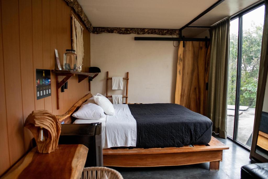 Bufo Alvarius, Tulum