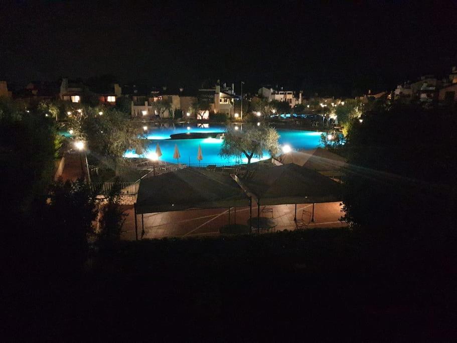 Lagosuite - 2