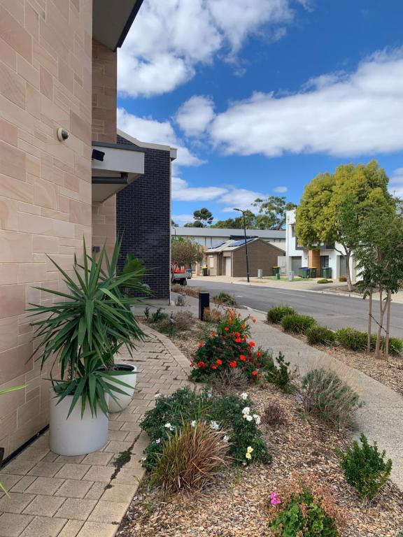 Stellar Suite, Woodville South