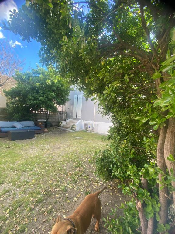 Casa Elisa 10 B - 2