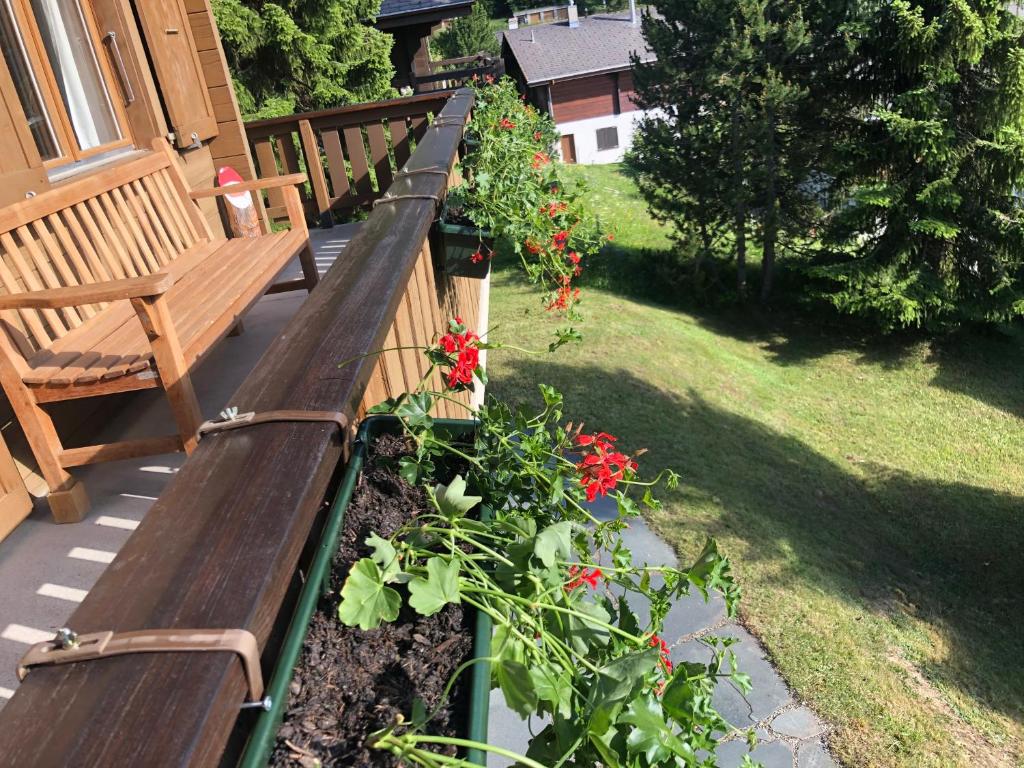 Chalet Claire - 5
