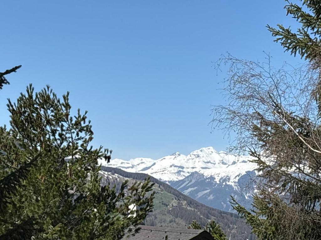 Chalet Claire - 3