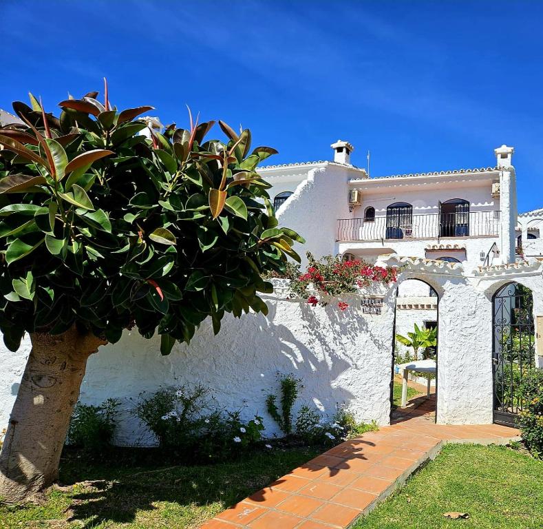 Villa Crisantemos - 1