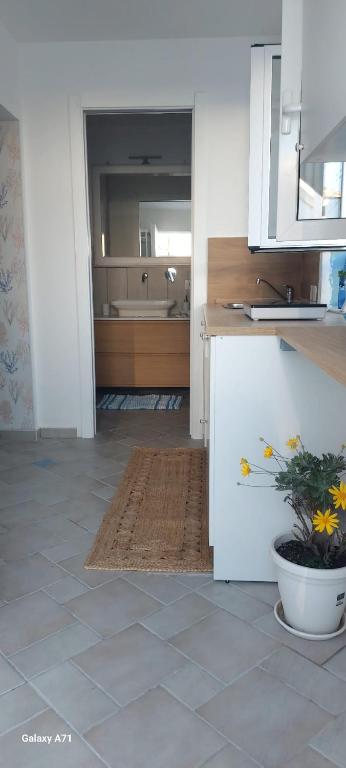 coralinehome - 5
