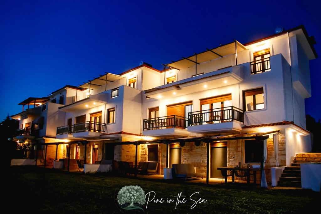 Pine in the sea Nikiti-Sithonia, Nikiti