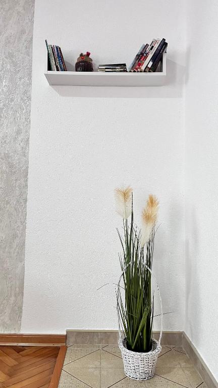 Apartman MIM - 5