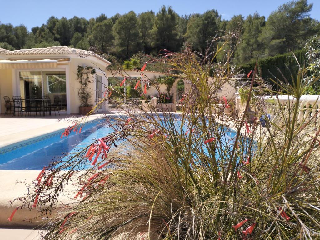 VILLA LUXUEUSE Dénia - 2