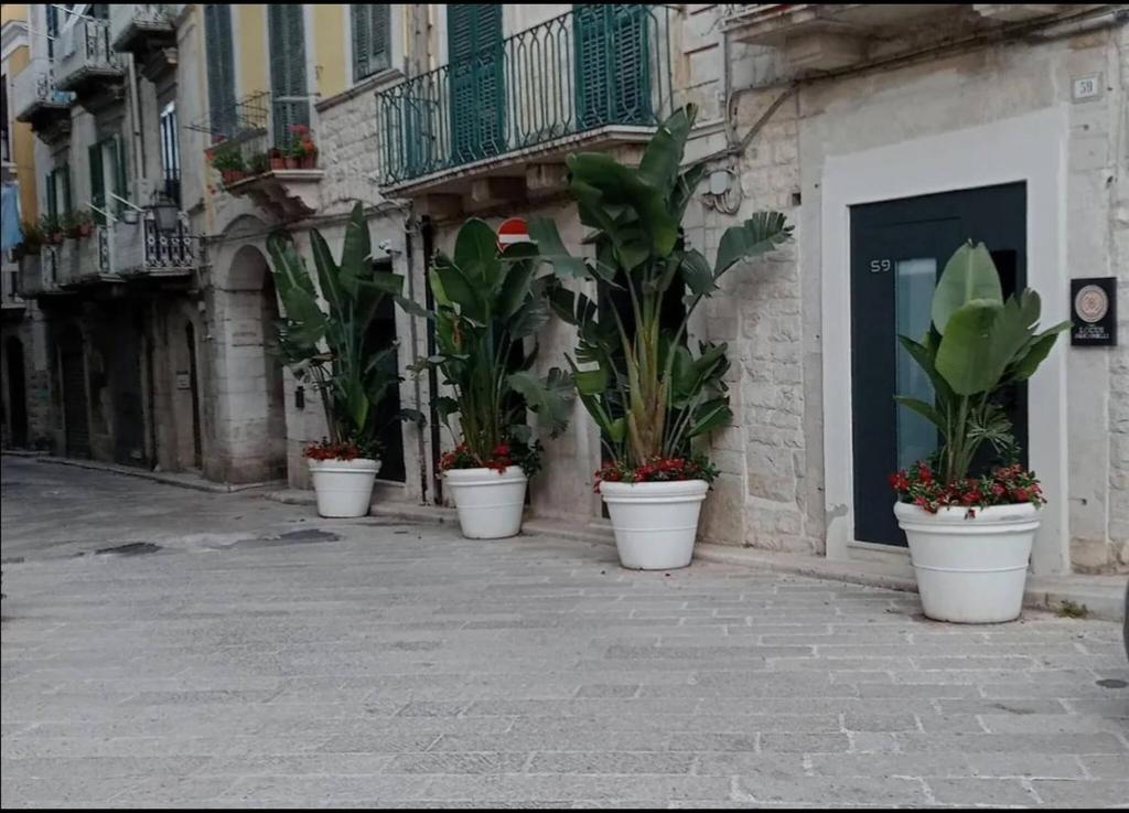 Locus Pendinelli Trani 53-The philosophy of a bb, the details of a Hotel - 3