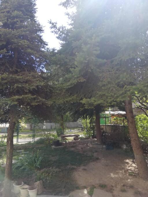 Cozy apartment in Vračar +garden - 1