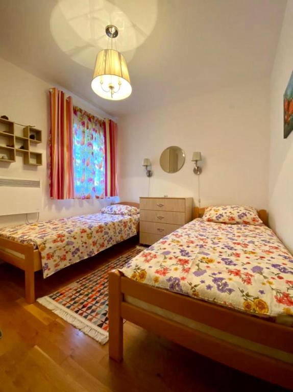 Apartment Liza Petrovac - 1