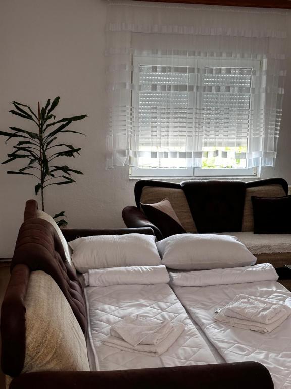 MS Apartment - 4