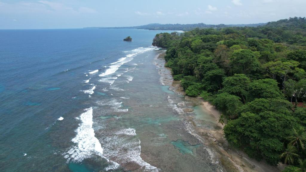 Surrounding environment