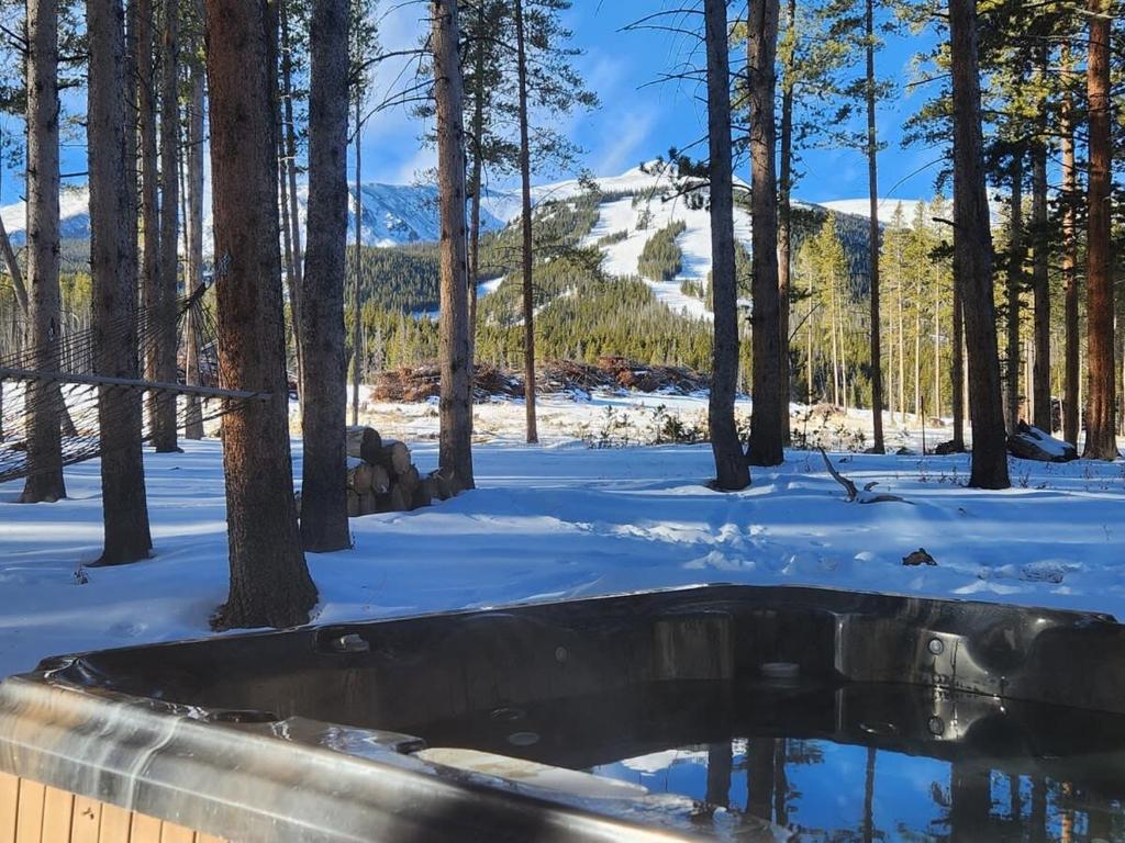Lazy Fox Lodge in National Forest View, Breckenridge