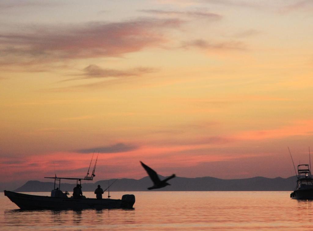 Recreational facilities