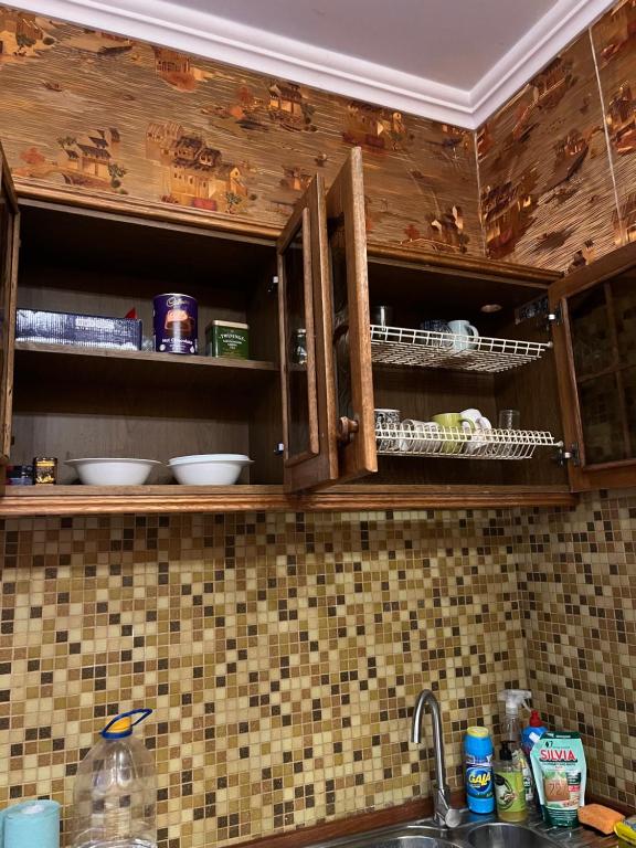 ArArAt-KLOVSKAYA HOSTEL-APARTMENTS KIEV 전경