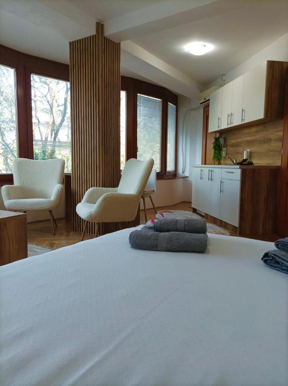 Apartman Rajska Banja - 3