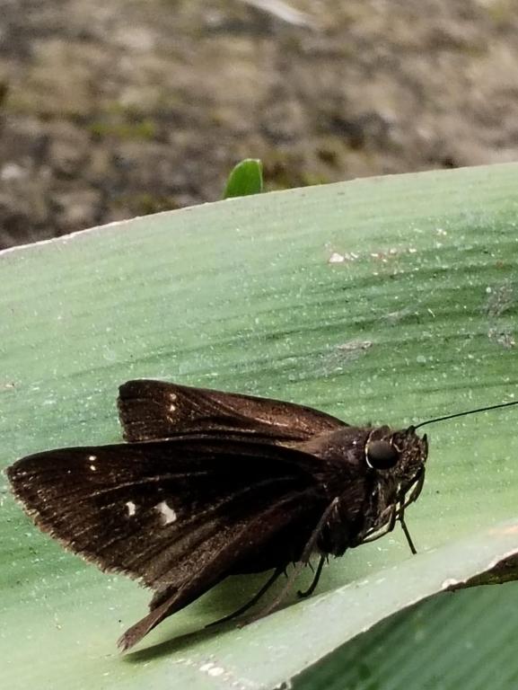 Cabaña El canto del Arriero - 4