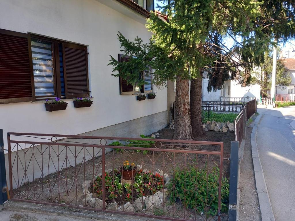 Apartman Mario - 5