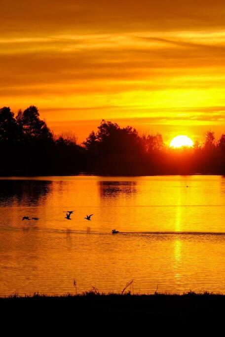 Cabaña descanso naturaleza - 5