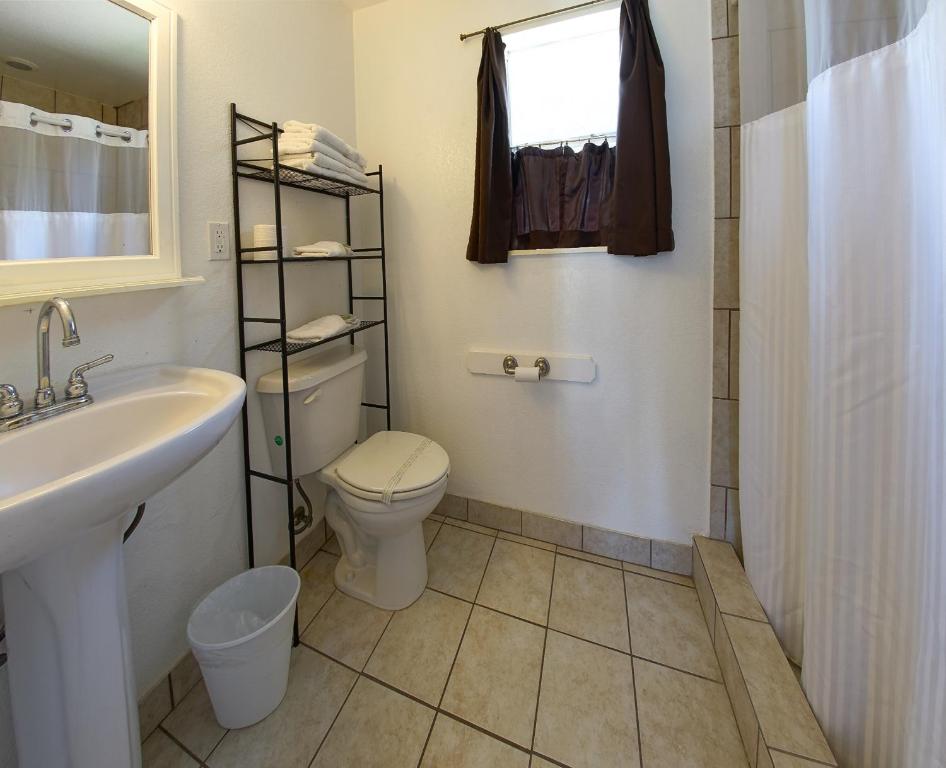 Star Inn photo