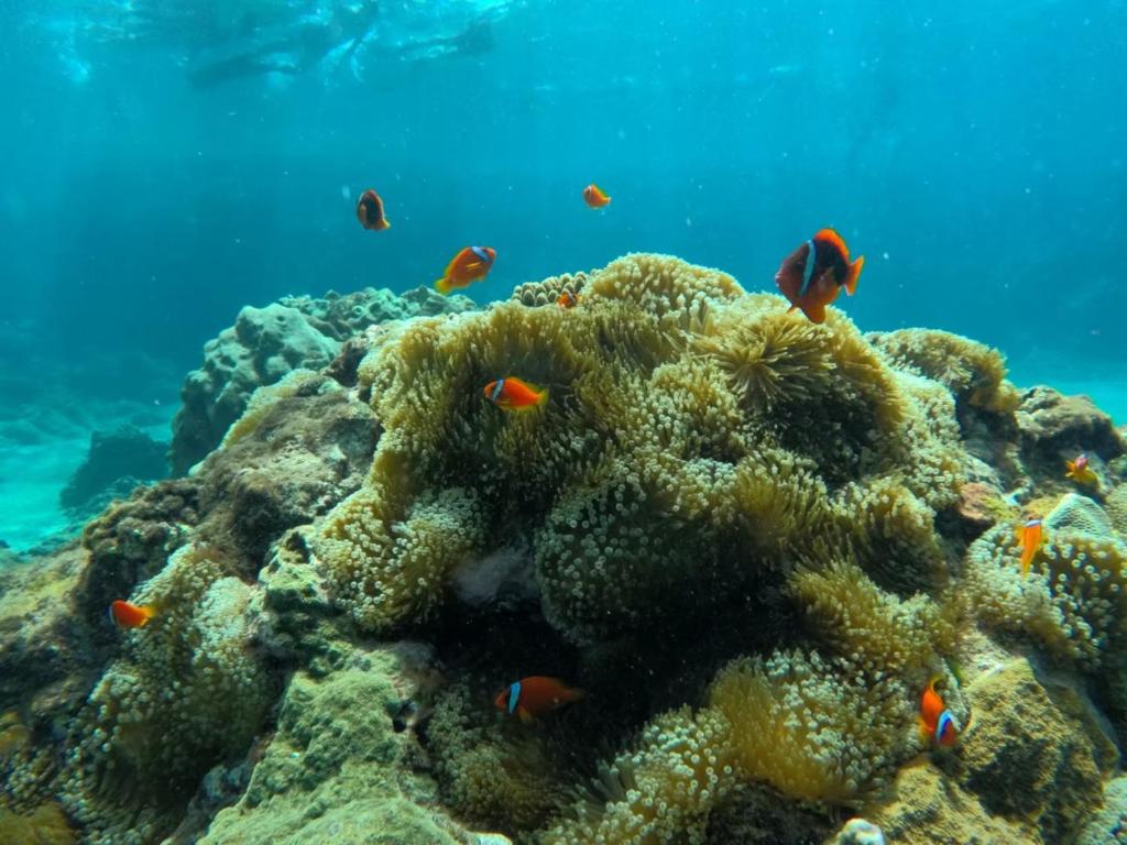 天藍 sky blue hostel