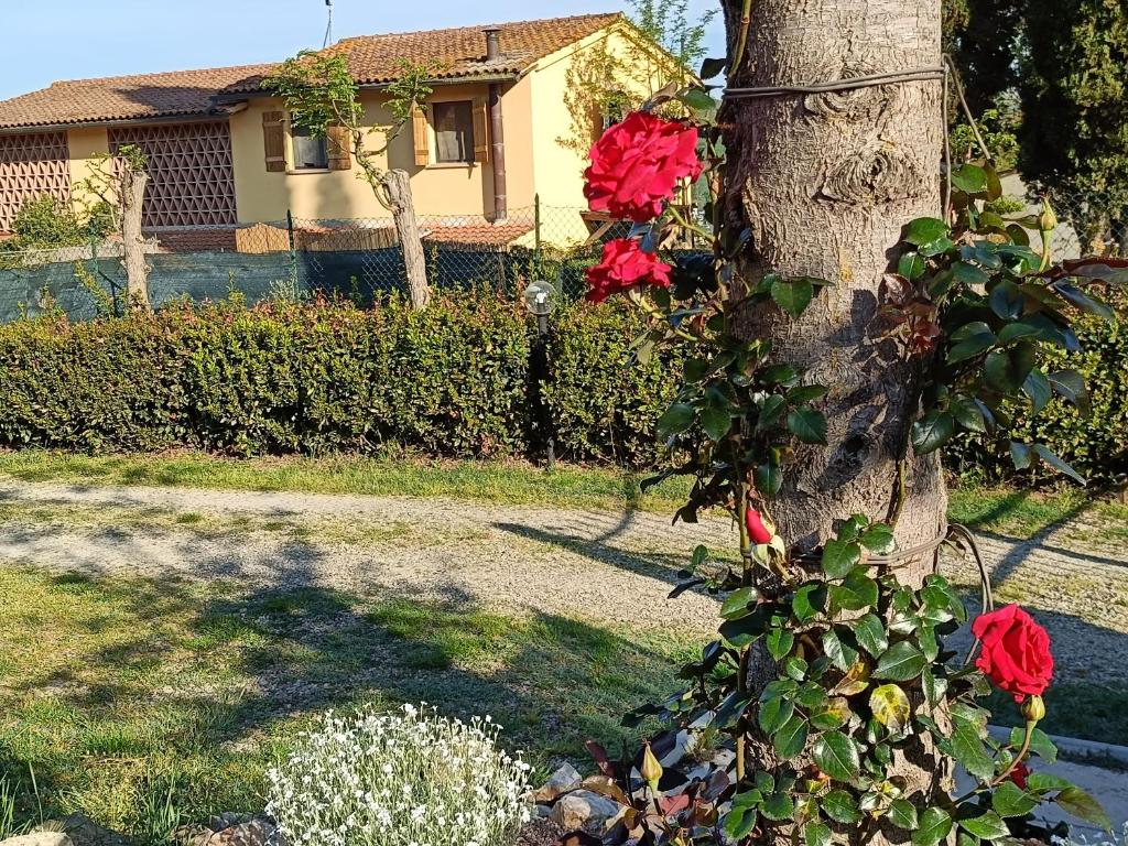 CASA ORNETO - 2