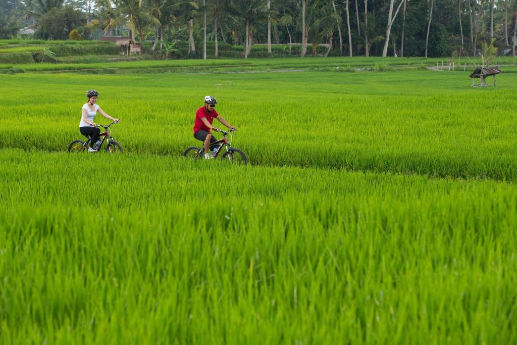 Sport og aktiviteter