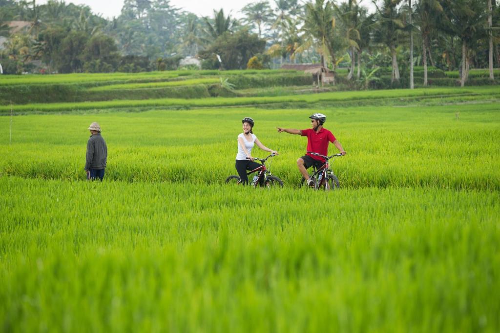 Sport og aktiviteter