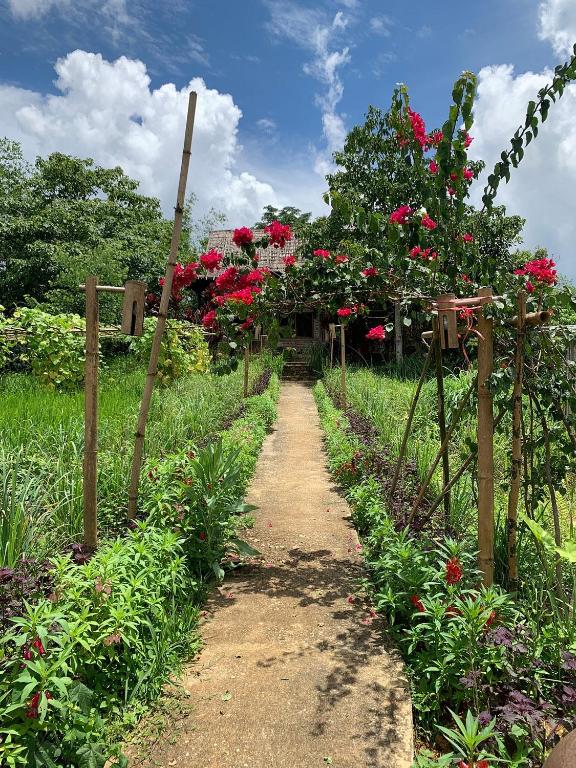 PuBin Spice Hills, Hòa Bình