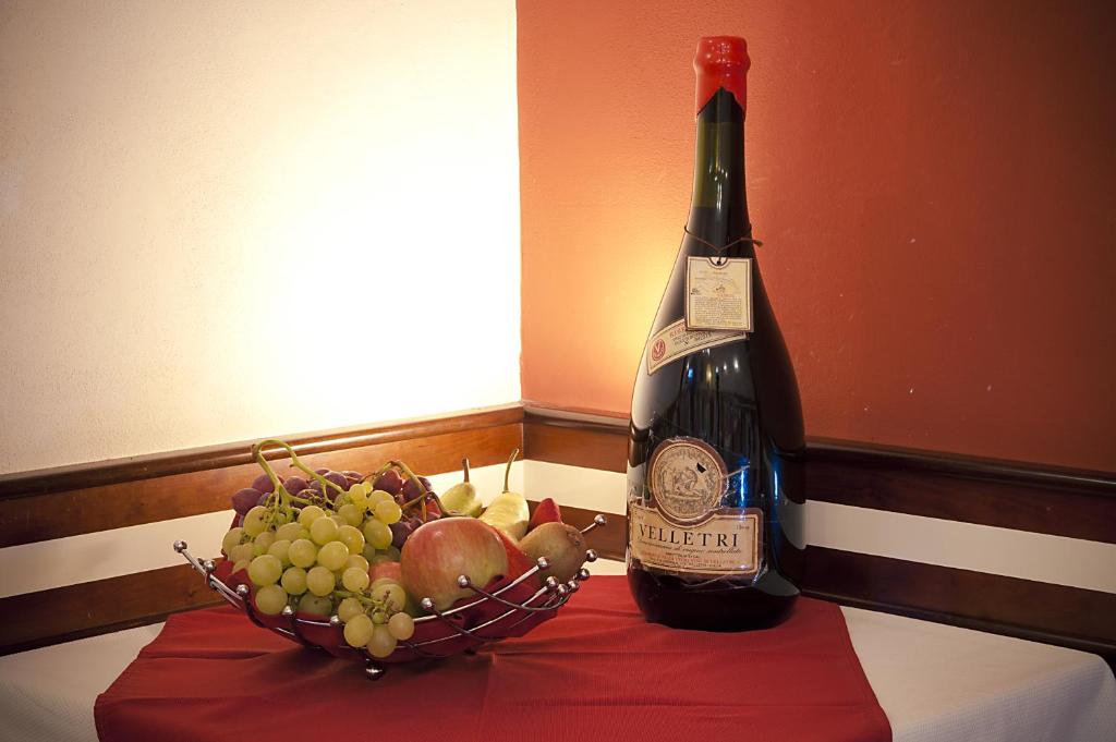 Programlehetőségek