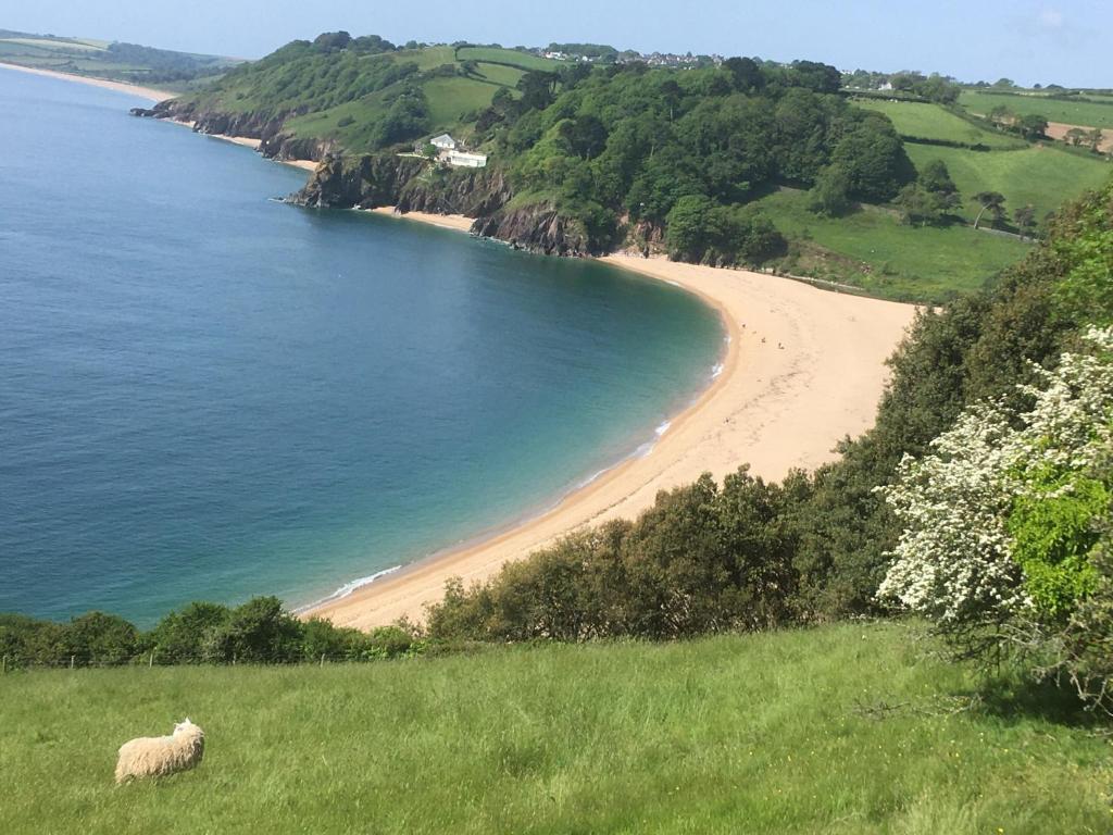 Seaview Nest, Stoke Fleming