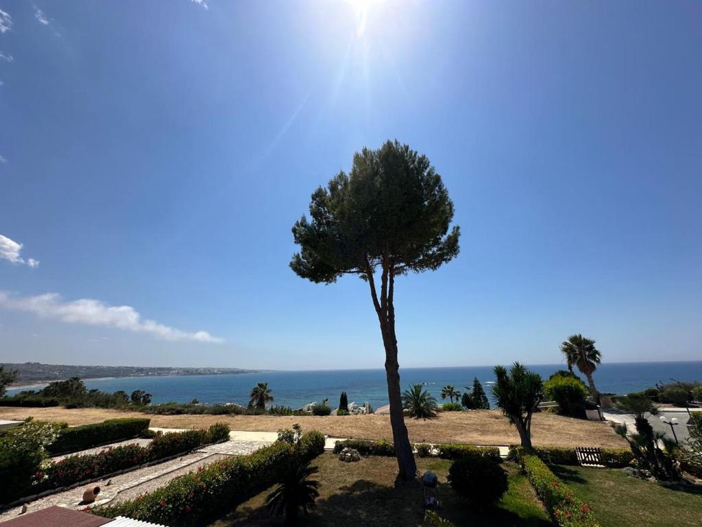 Serenity Corner, Pafos