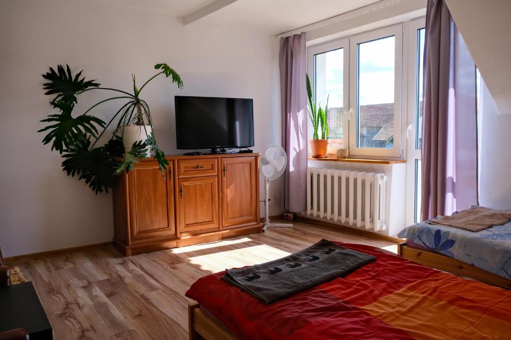 Pokoje u Ani, Srokowo