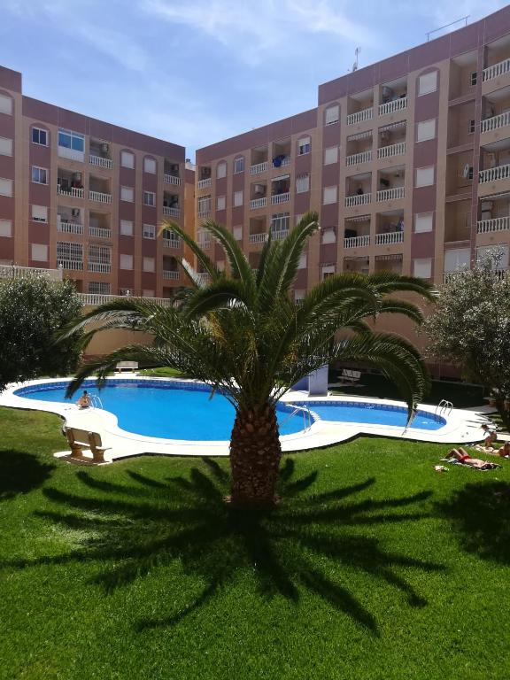 bonito apartamento en Torrevieja - 1