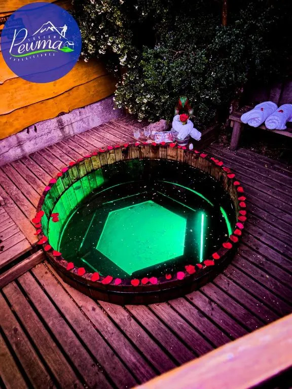 Cabañas Pewma Futrono, hotel v destinaci Futrono