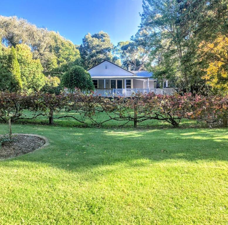 Chinese Whispers, Wandiligong