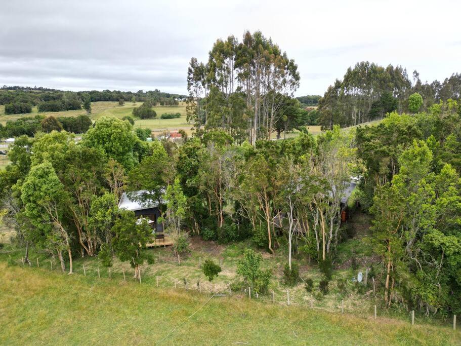 Cabaña en el bosque Chiloé - 5