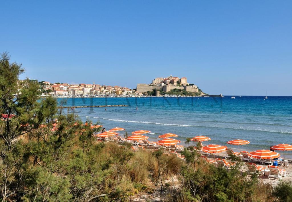 Manuro - Duplex avec jardin et parking privé, vue citadelle et mer CALVI - 5