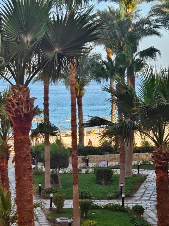 Esplanada Beach Apartment