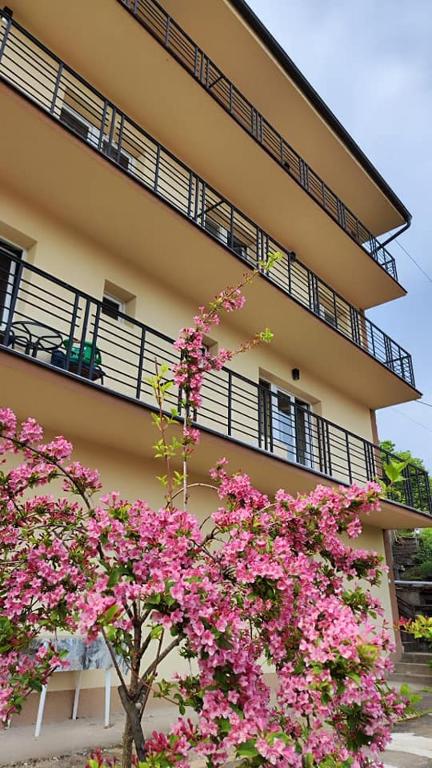 Apartman Berlin Sokobanja - 3