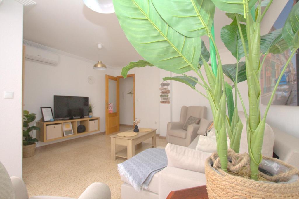 Apartamento Agata Gandia a 4 min de la Playa SOLO FAMILIAS - 4