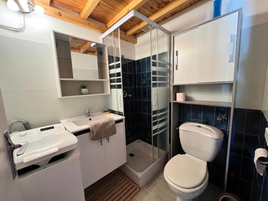 Studette et studio en montagne proche stations de ski et lac - 3