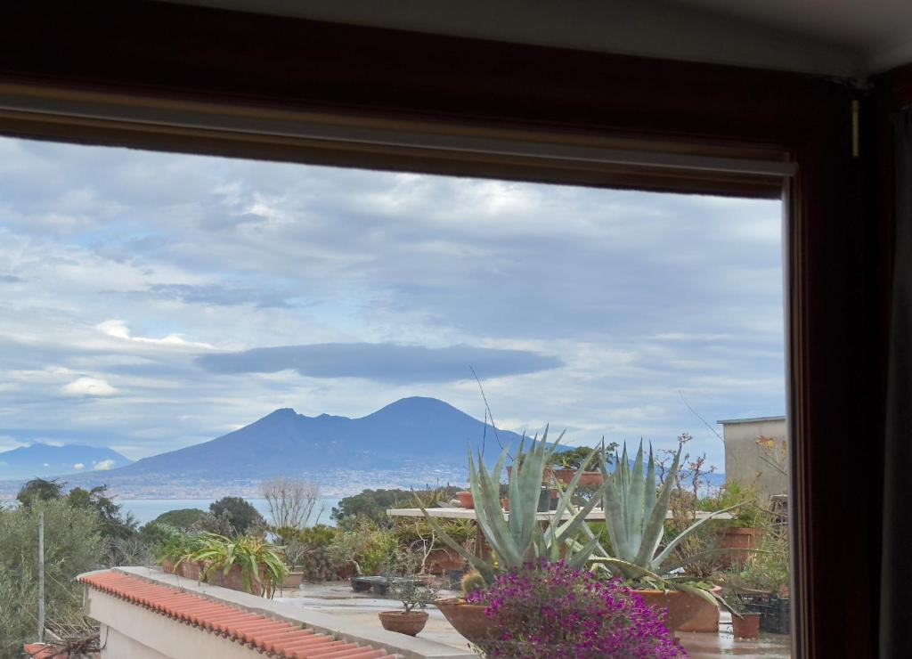 casa vacanze Mamilù - 2