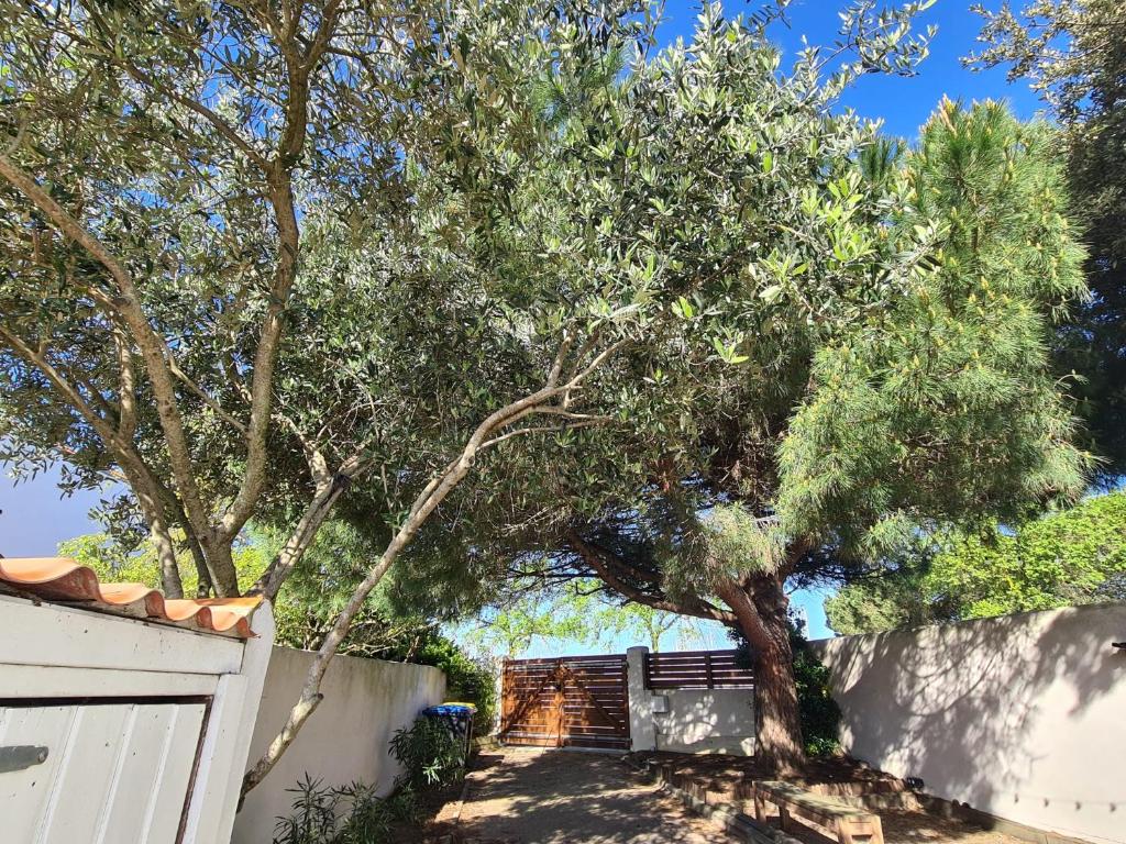 Villa Babeth by Nuits au Port - 3