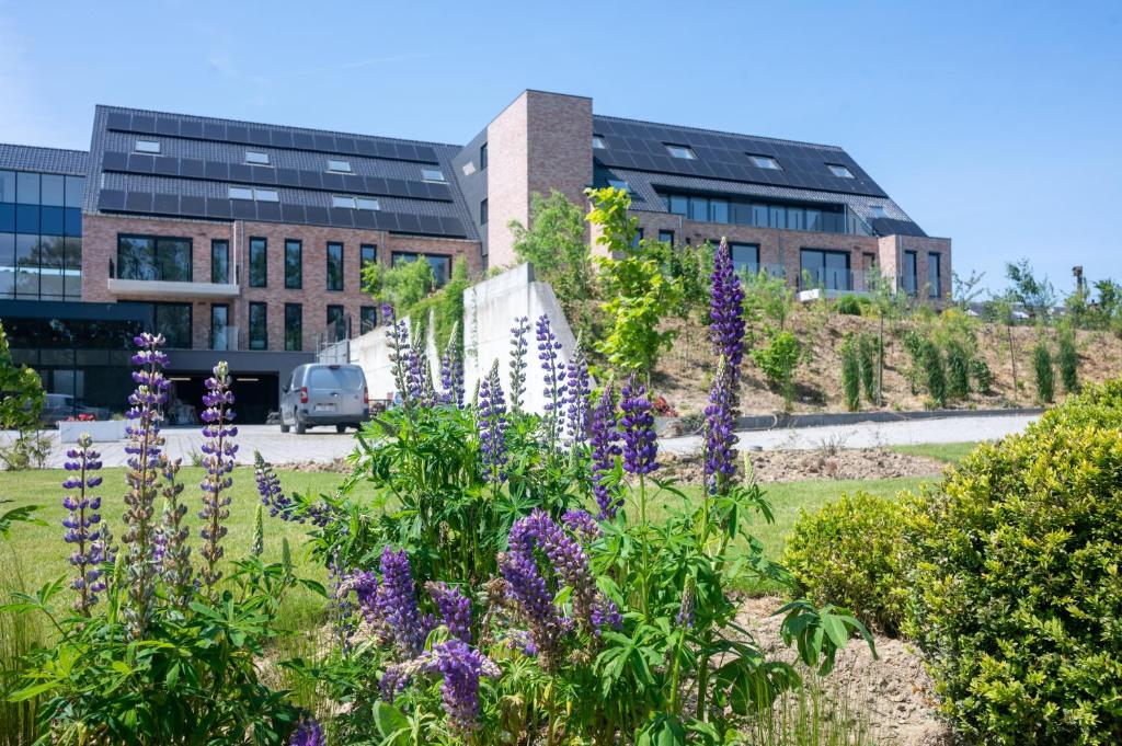 Flanders Cobblestone Paradise, Brakel