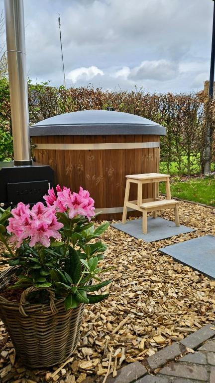 Luxe Hottub Huisje Bij het Veen op de rand van het Bargerveen Drenthe
