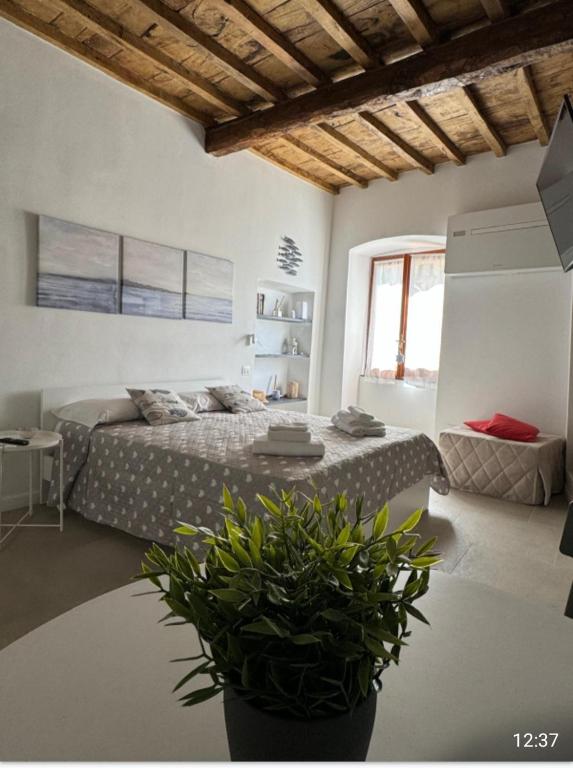 CasAmare - 3