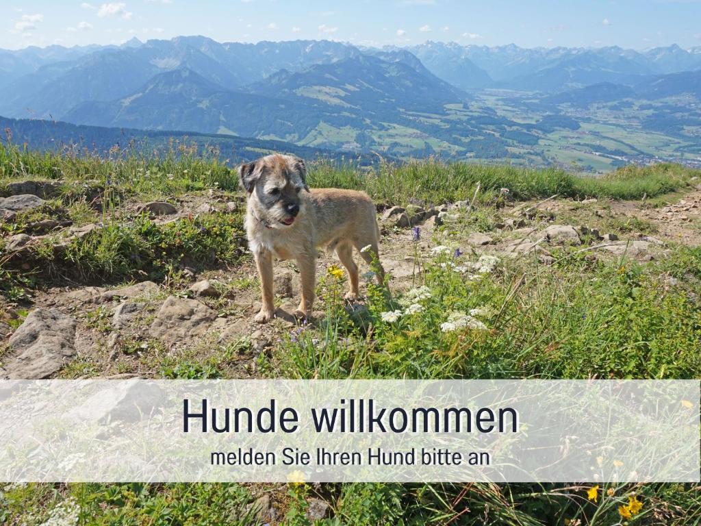Biohof Burger, 3 sonnige Fewo, alle mit Balkon, Spielzimmer, Grillhütte, 7 km vor Oberstdorf - 3